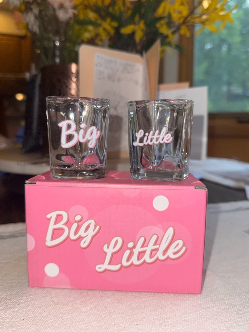 Heart Shot Glass Set for Sorority Sisters Mother Daughter Interior Giftable